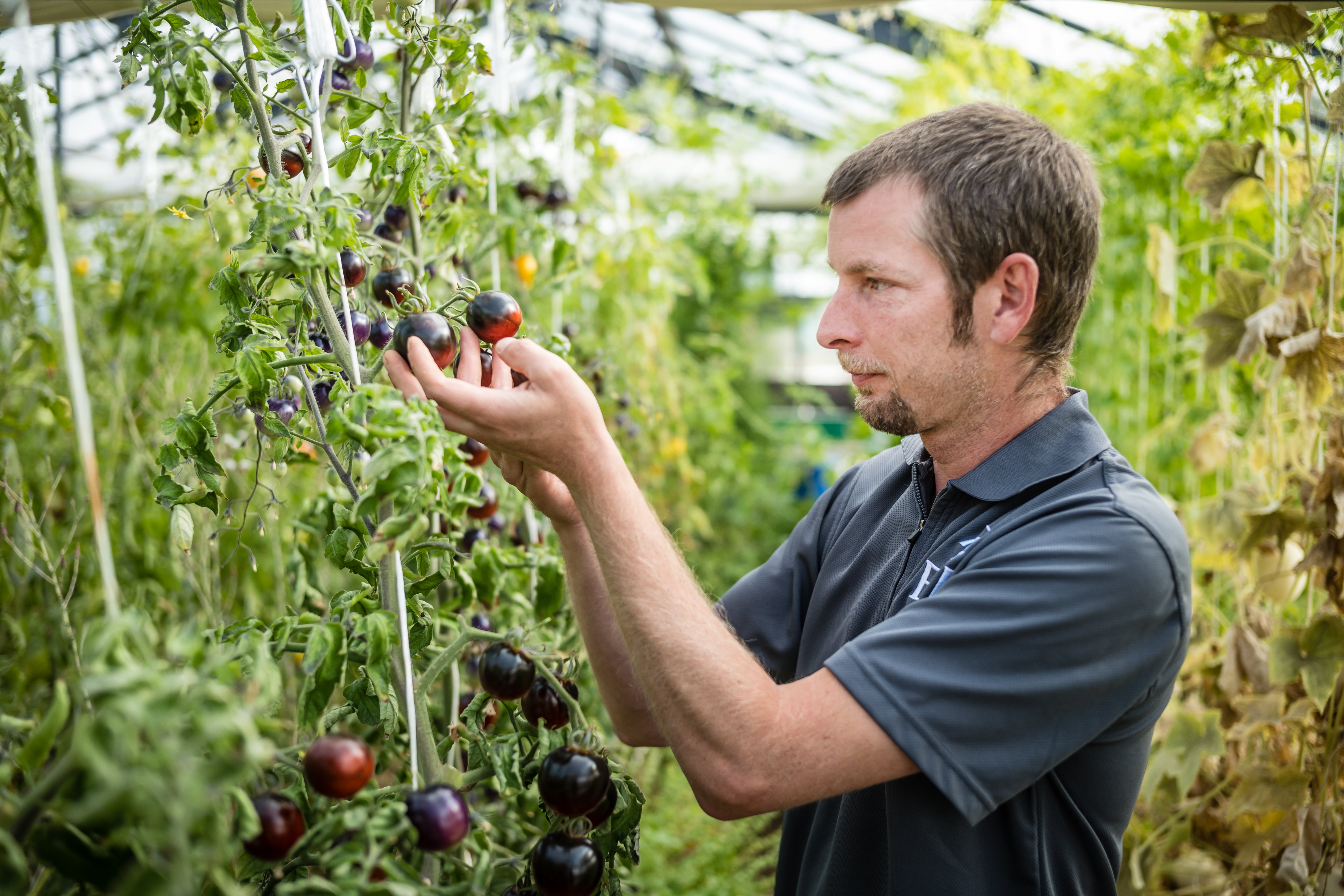 Garden_Lausanne (29) (1)