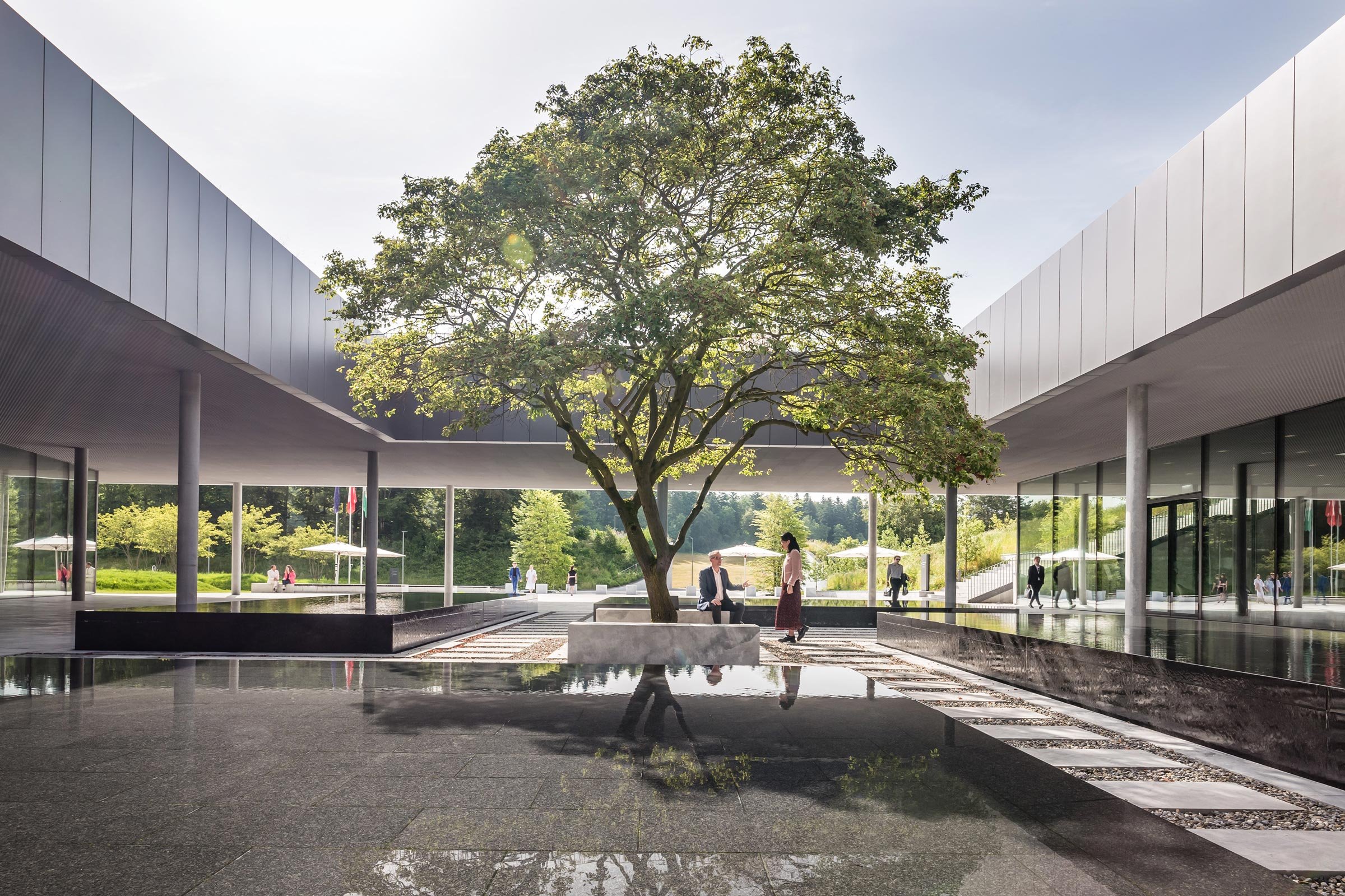 ehl-entrance-tree-people