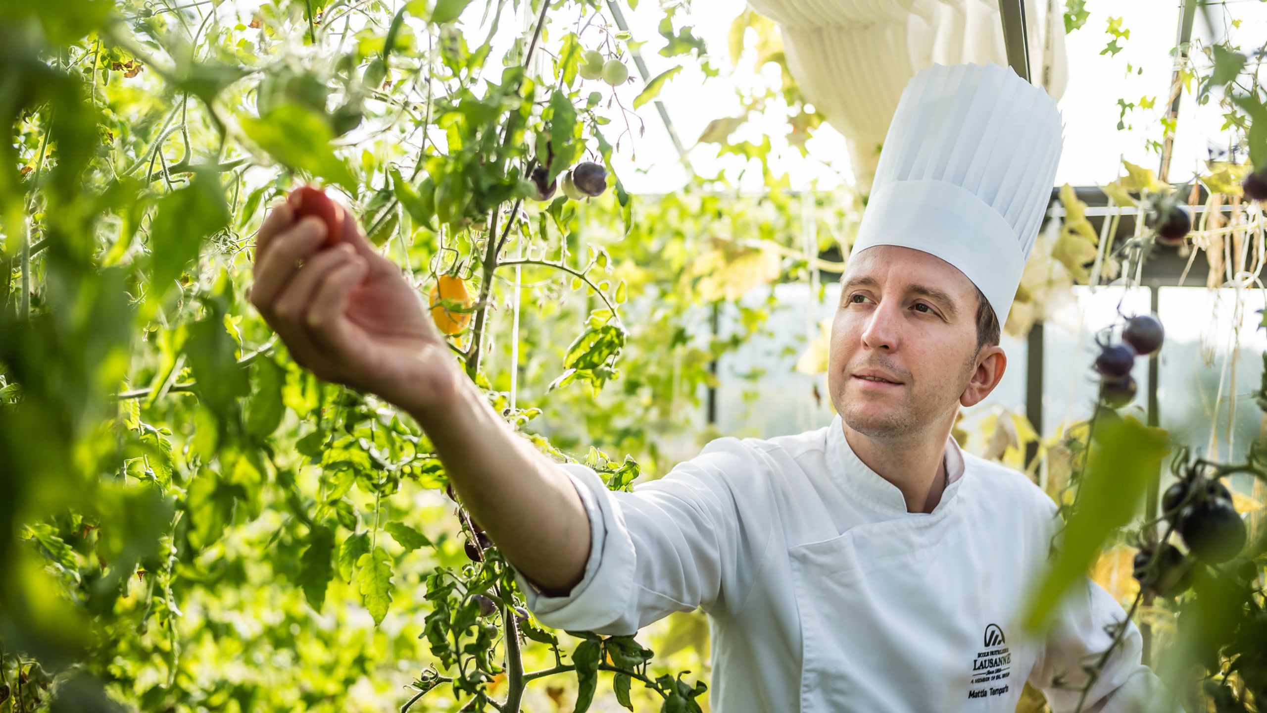 EHL-Lausanne-Campus-garden